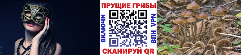 Псилоцибиновые грибы MAGIC MUSHROOMS  Нязепетровск 